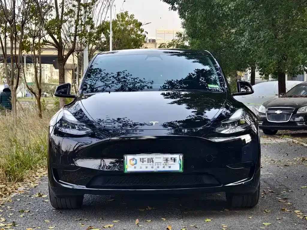 Tesla Model Y 2023 из CN, фото 2