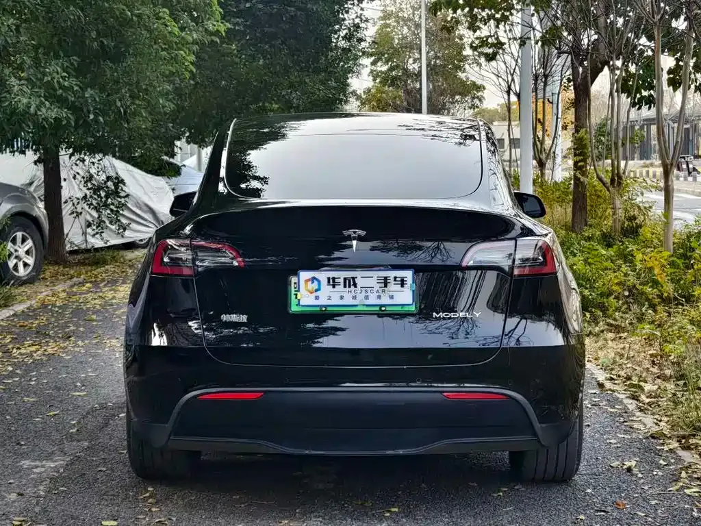 Tesla Model Y 2023 из CN, фото 5