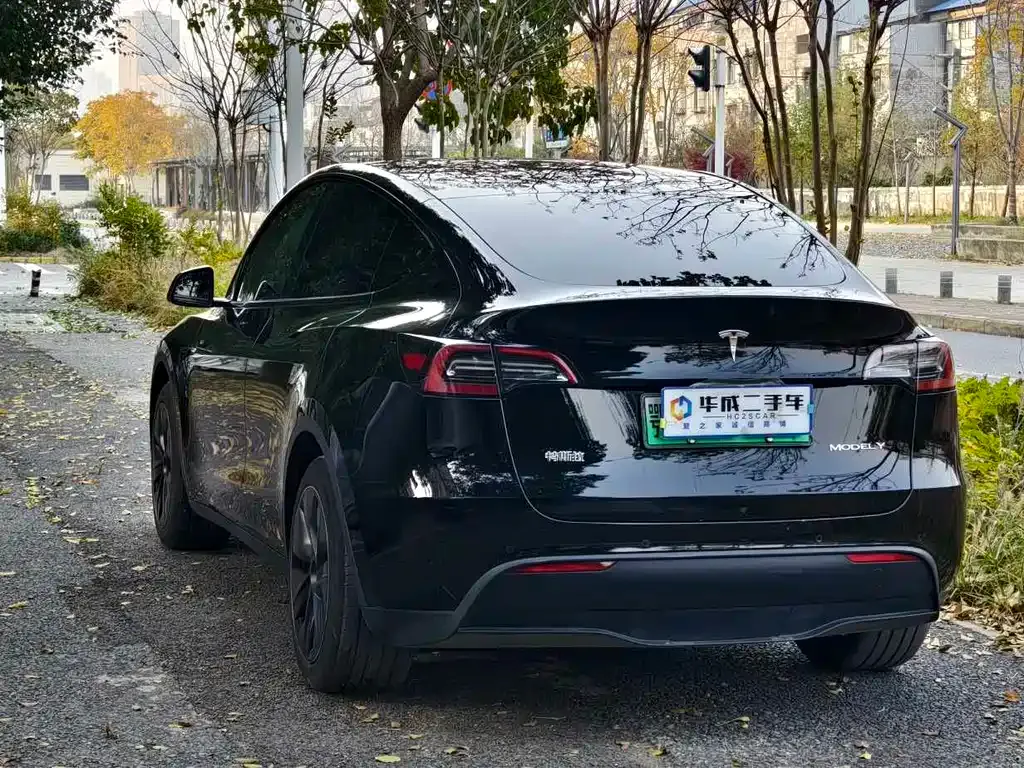 Tesla Model Y 2023 из CN, фото 6