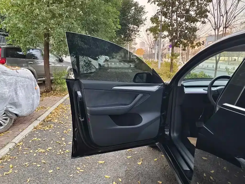 Tesla Model Y 2023 из CN, фото 8