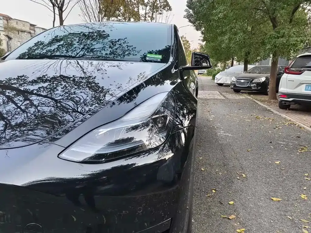 Tesla Model Y 2023 из CN, фото 9
