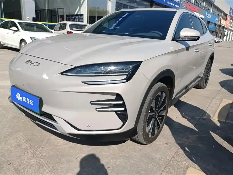BYD PLUS New Energy — фото 1