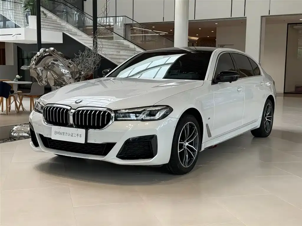 BMW 5 Series 2023 из CN, фото 1