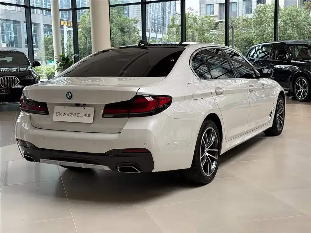 BMW 5 Series 2023 из CN, фото 10