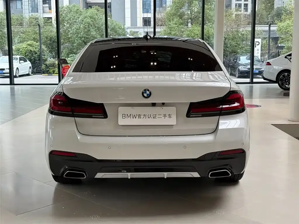 BMW 5 Series 2023 из CN, фото 4