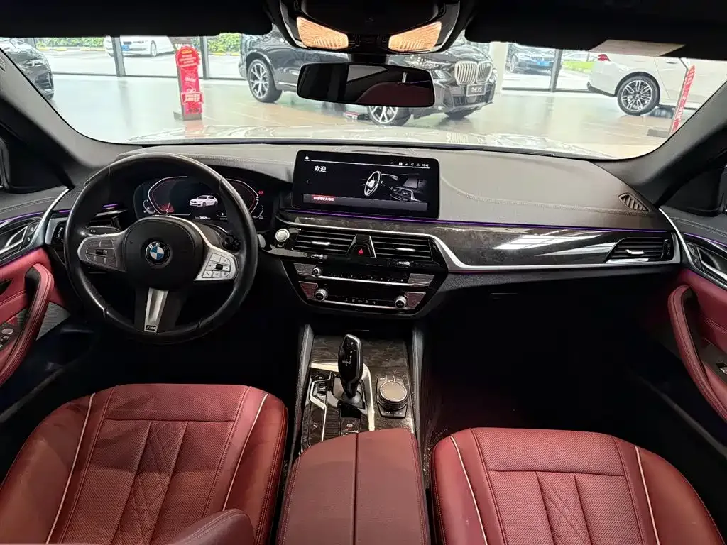 BMW 5 Series 2023 из CN, фото 5