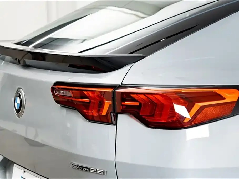 BMW X2 (Import) 2024 из CN, фото 10