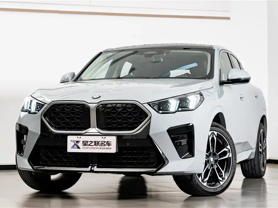 BMW X2 (Import) 2024 из CN, фото 3