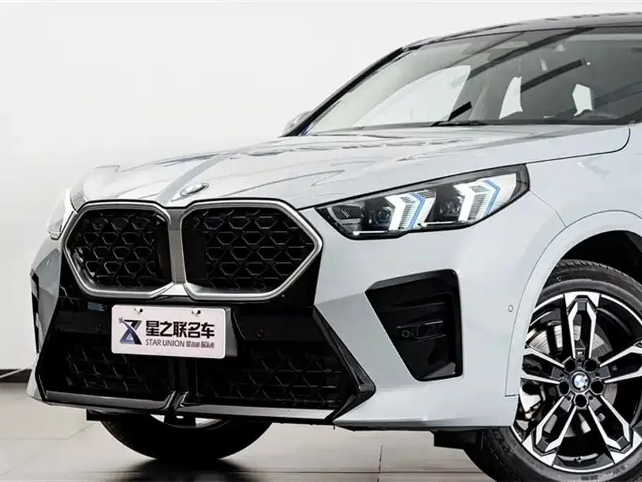 BMW X2 (Import) 2024 из CN, фото 4
