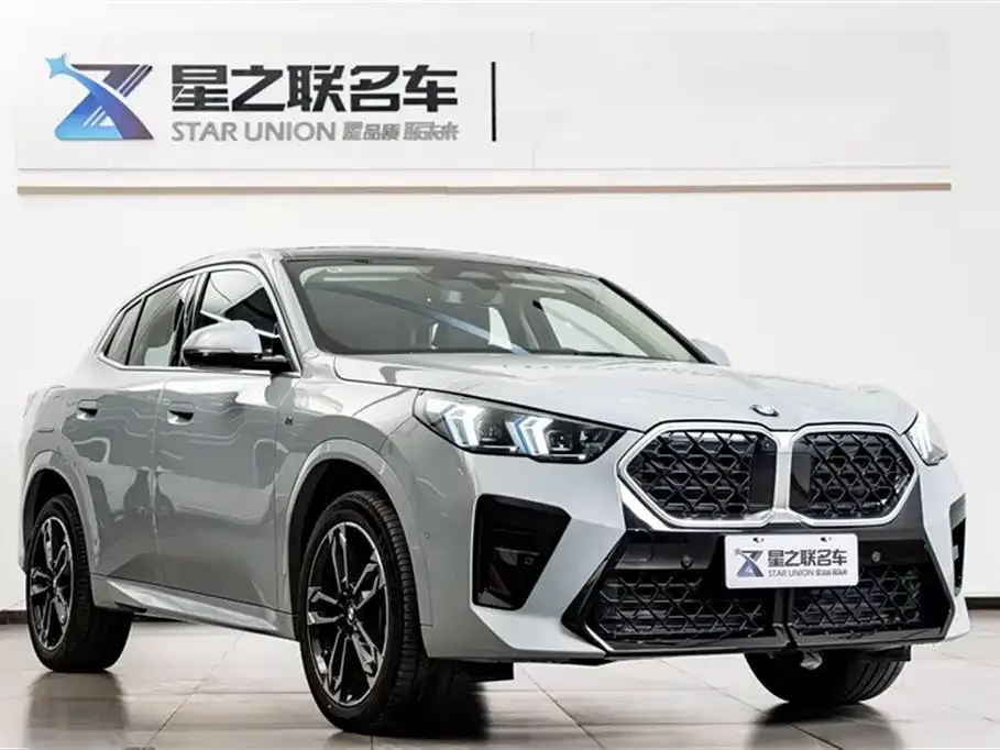 BMW X2 (Import) 2024 из CN, фото 6