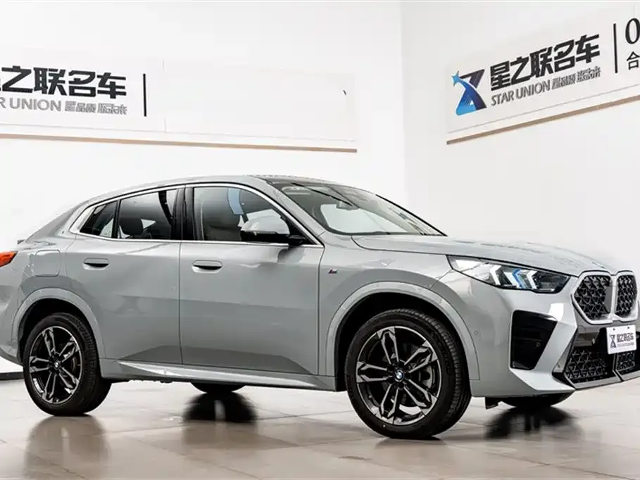 BMW X2 (Import) 2024 из CN, фото 7