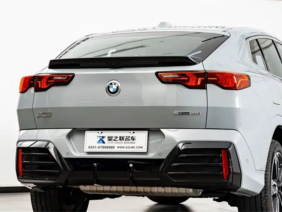BMW X2 (Import) 2024 из CN, фото 9