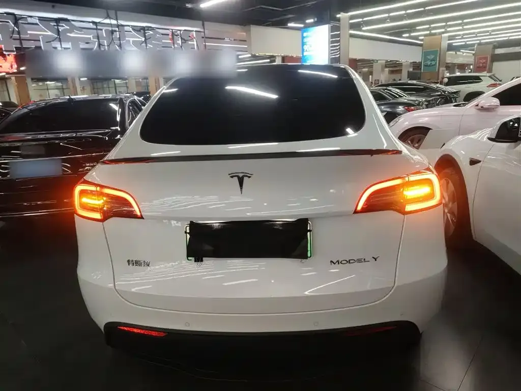 Tesla Model Y 2022 из CN, фото 6