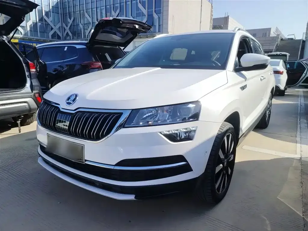 Skoda Karoq 2021 из CN, фото 1