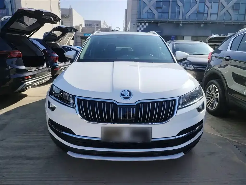Skoda Karoq 2021 из CN, фото 3