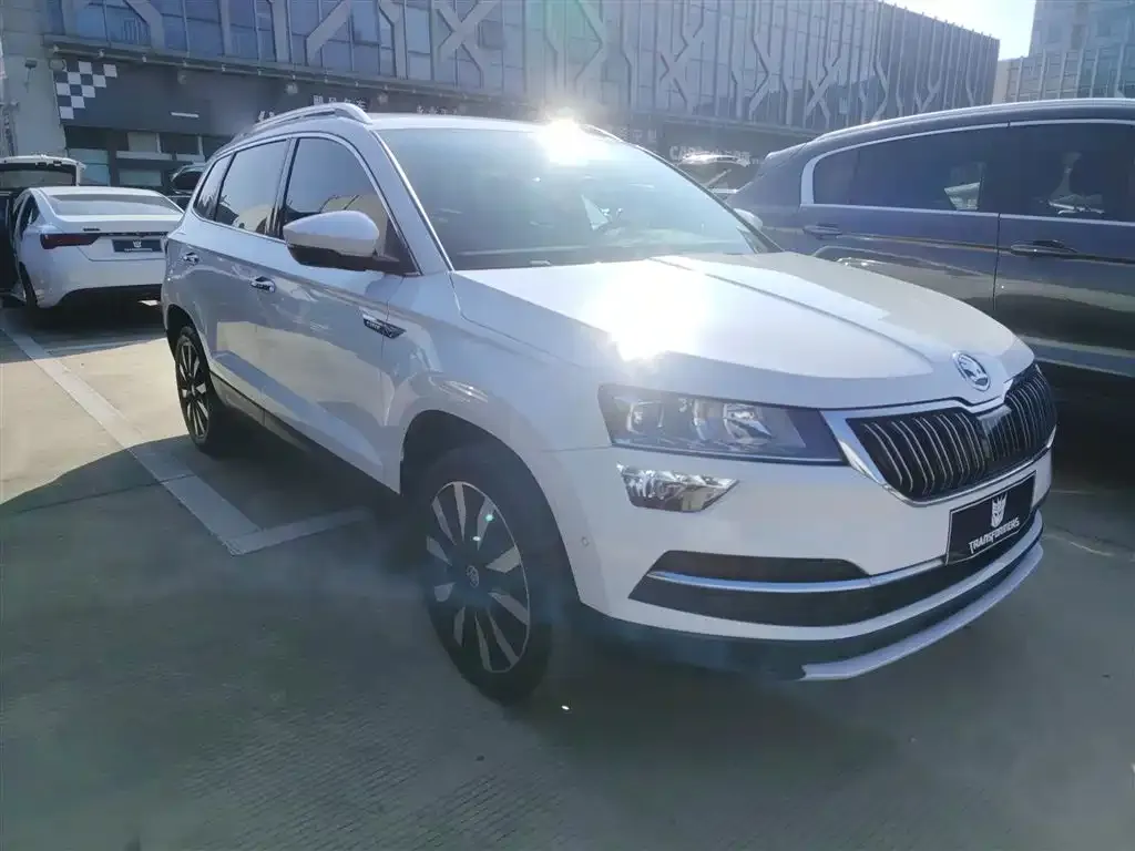 Skoda Karoq 2021 из CN, фото 4