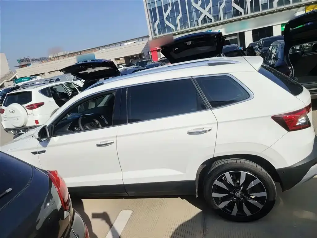Skoda Karoq 2021 из CN, фото 5