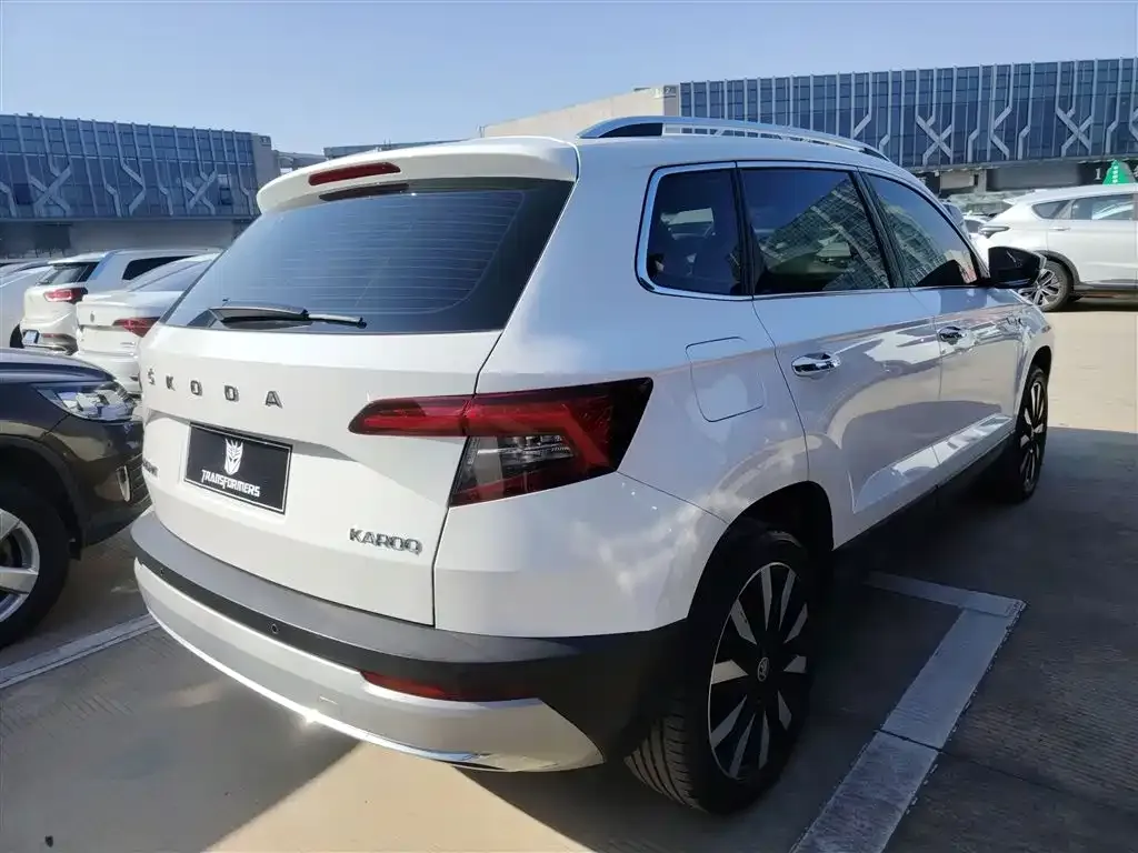 Skoda Karoq 2021 из CN, фото 7