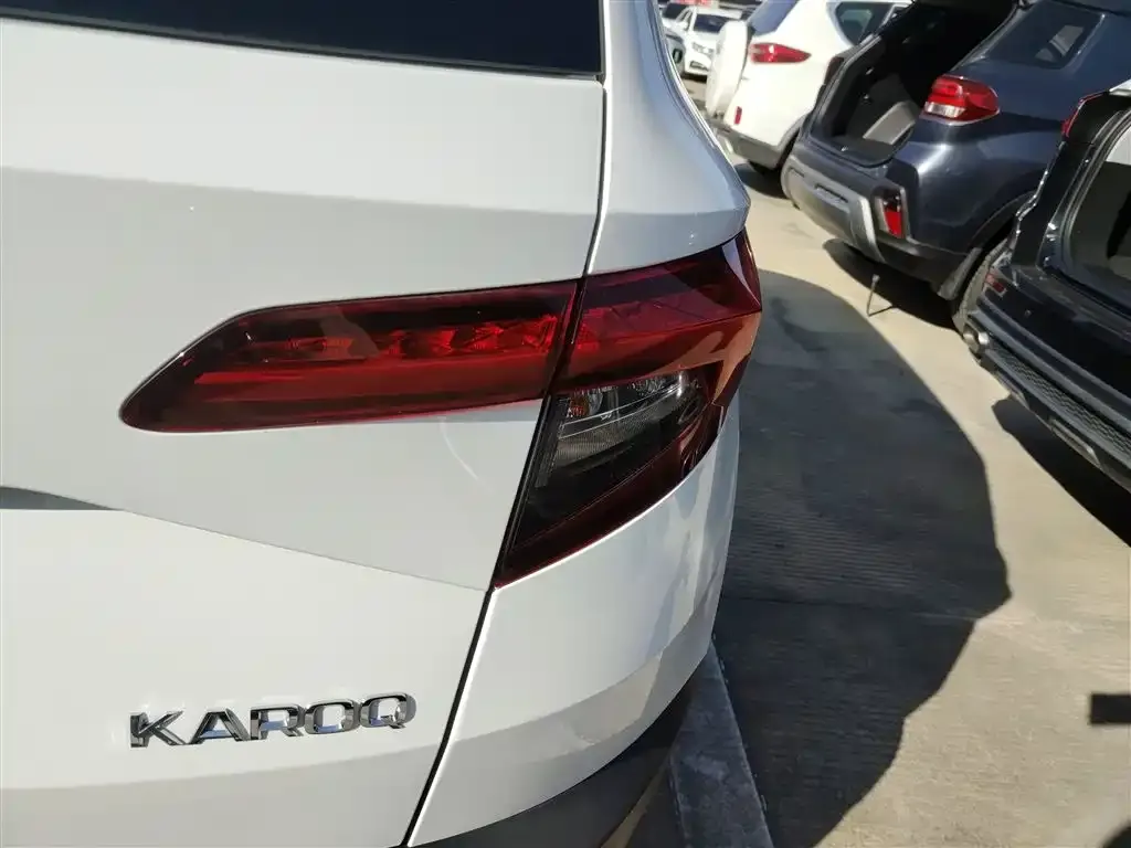 Skoda Karoq 2021 из CN, фото 8