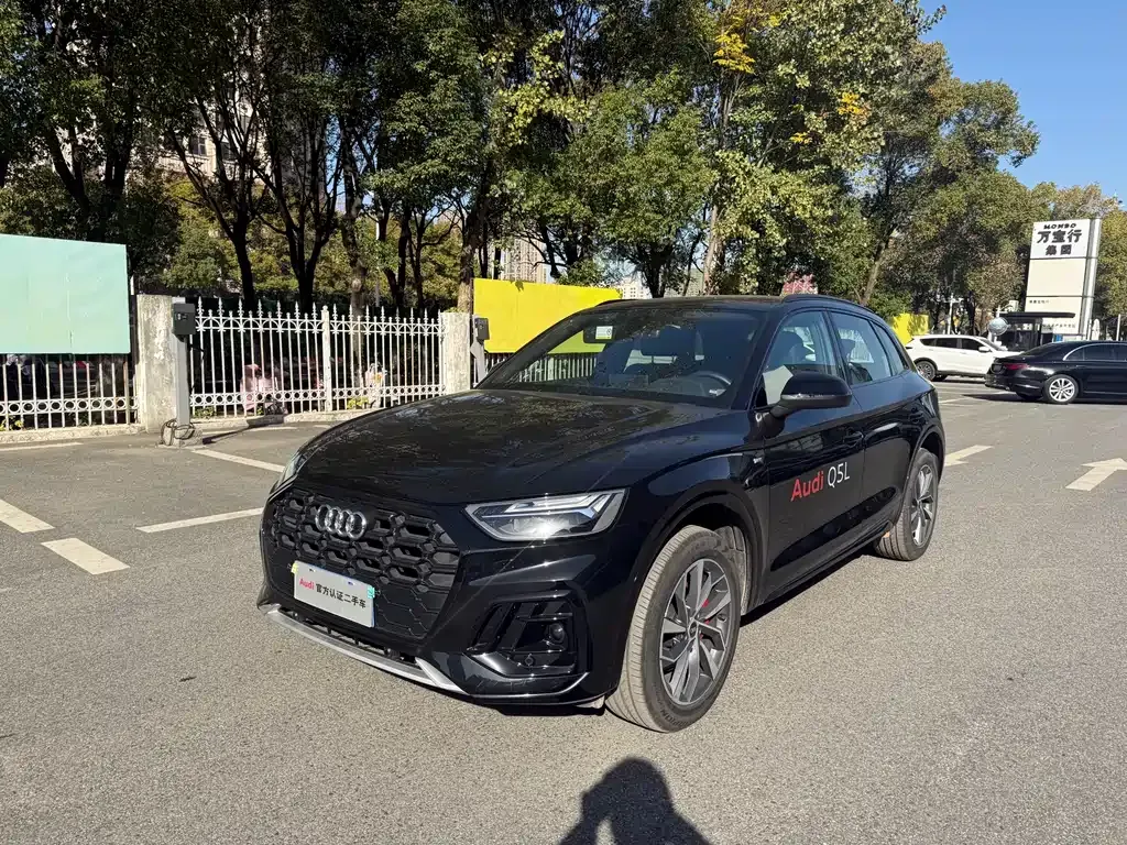 Audi Q5L 2025 из CN, фото 2
