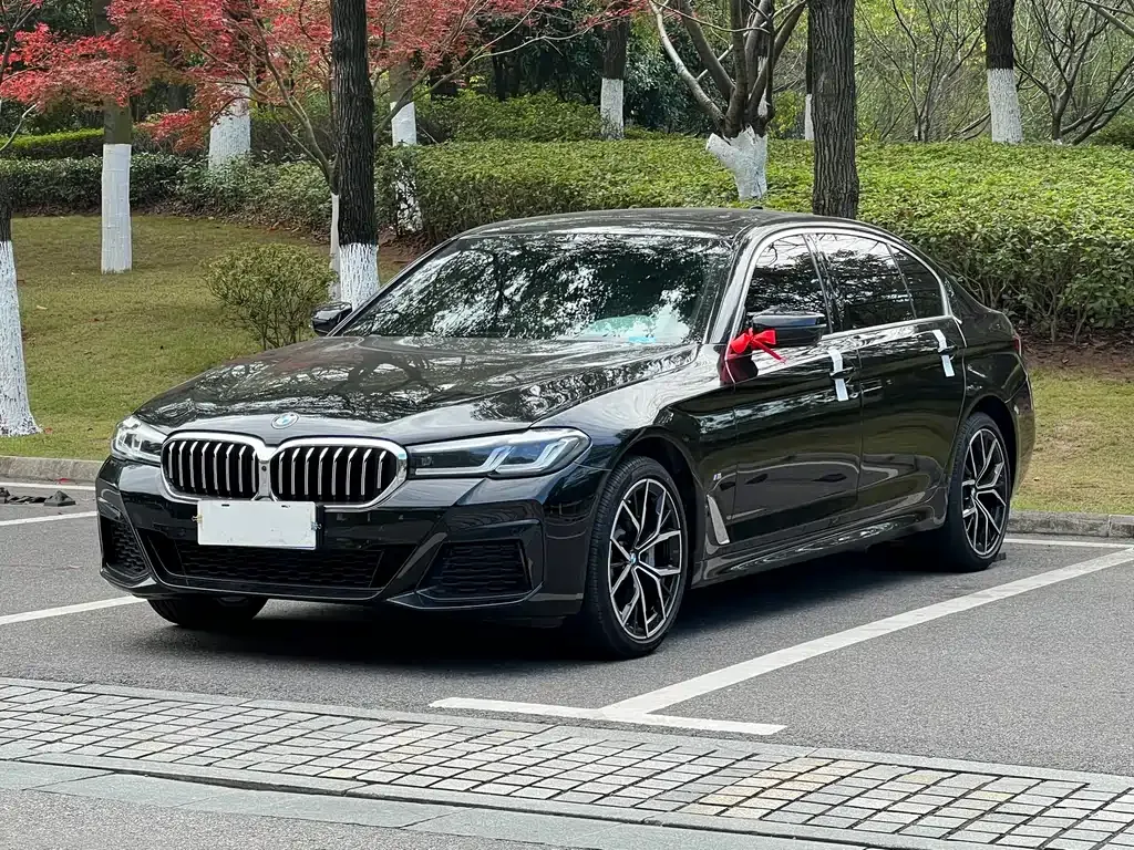 BMW 5 Series 2023 из CN, фото 1