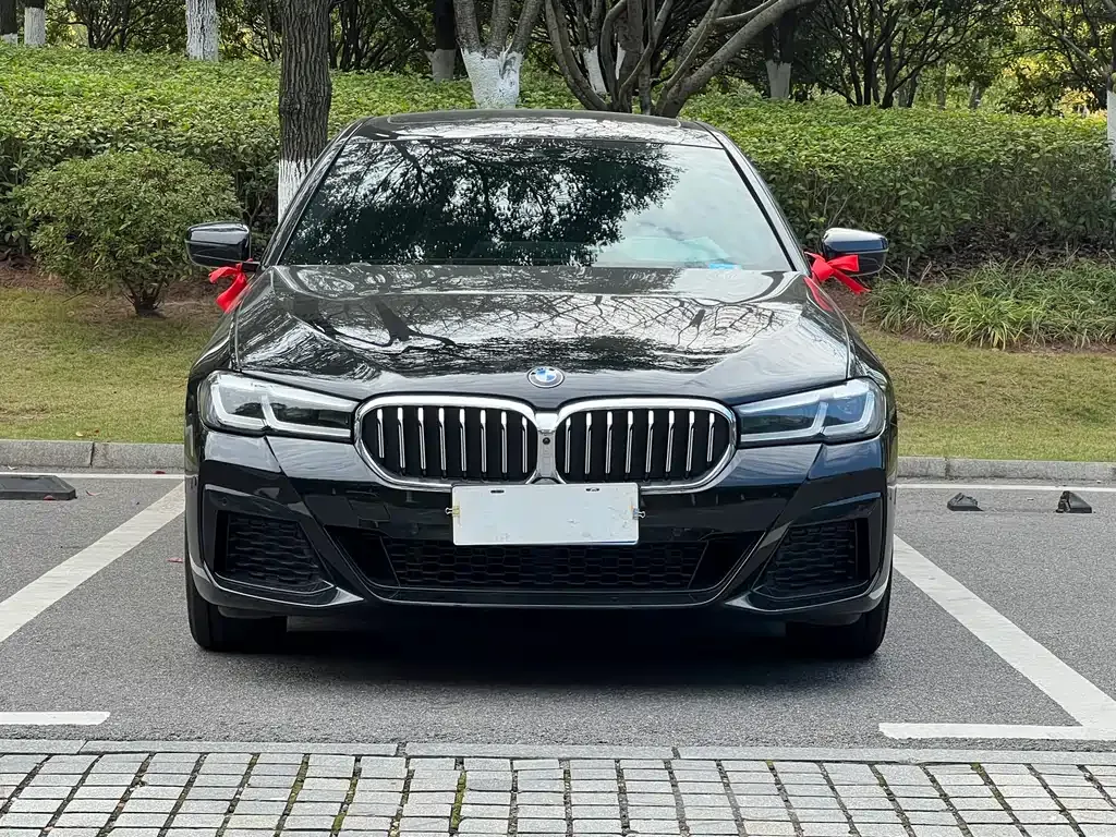 BMW 5 Series 2023 из CN, фото 2