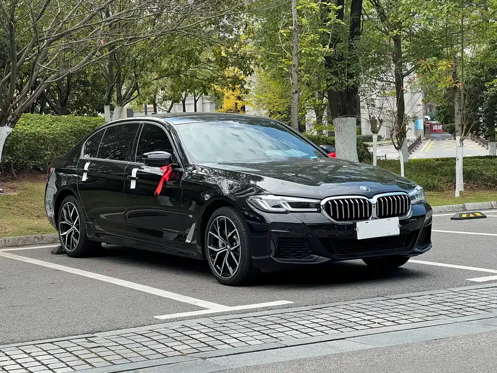 BMW 5 Series 2023 из CN, фото 3