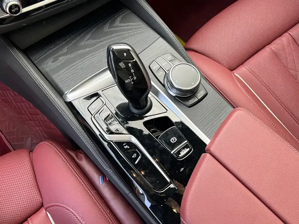 BMW 5 Series 2023 из CN, фото 6