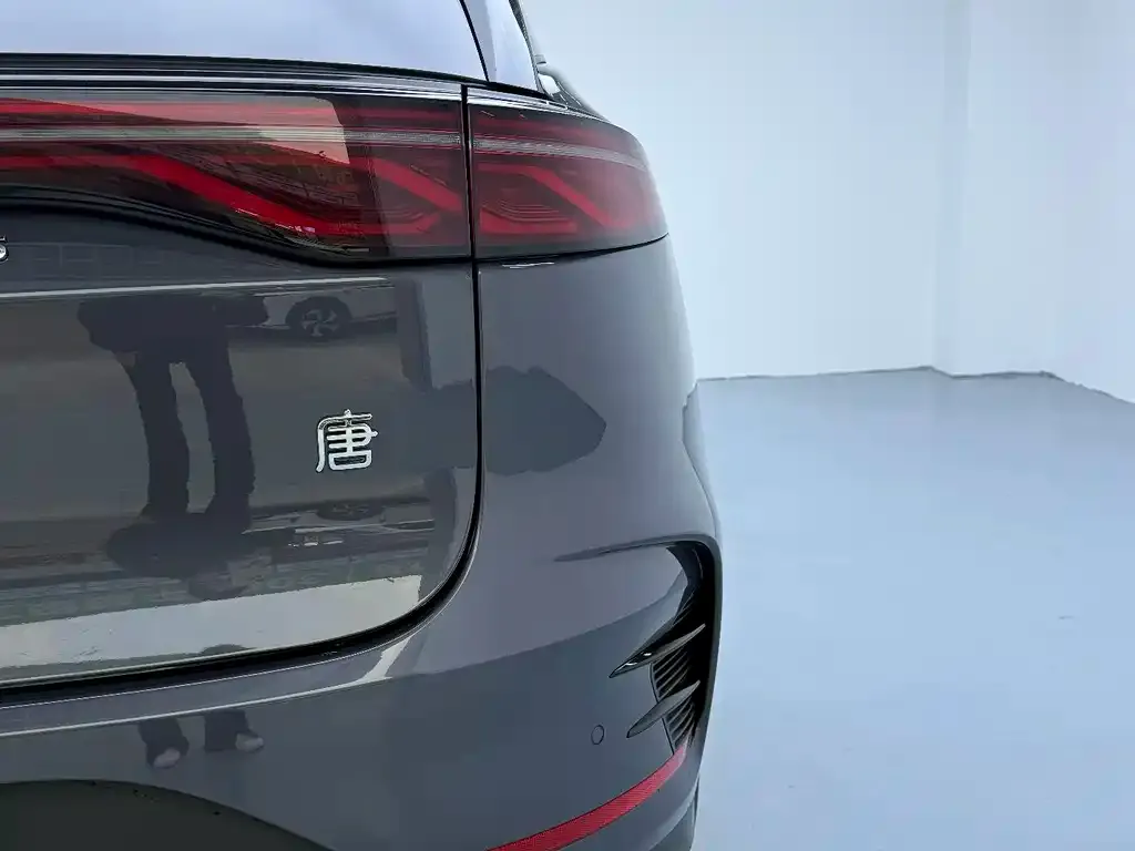 BYD Tang New Energy 2024 из CN, фото 10