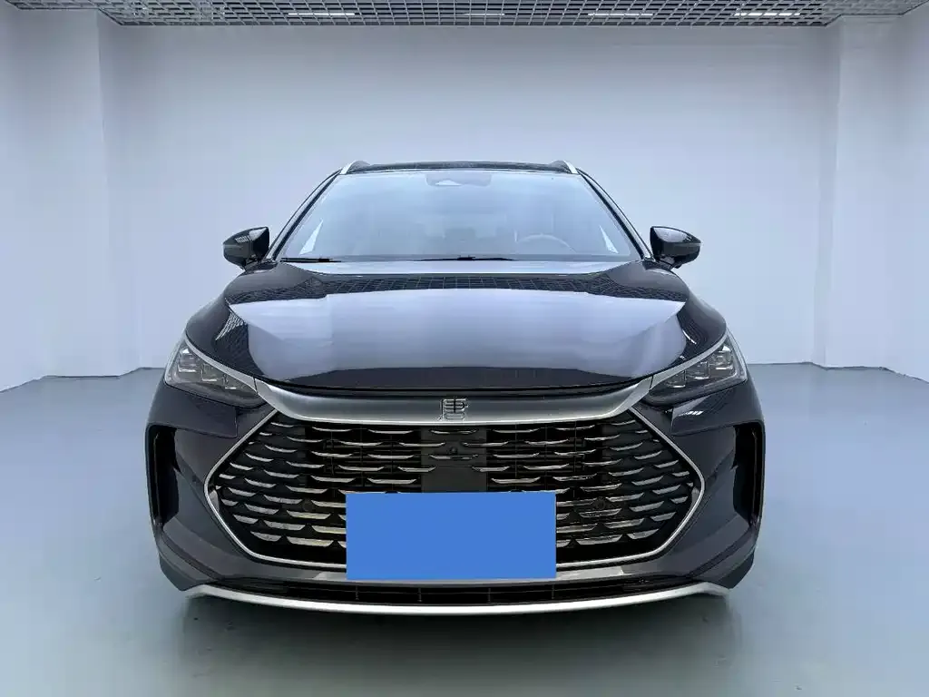 BYD Tang New Energy 2024 из CN, фото 2