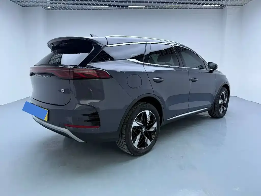 BYD Tang New Energy 2024 из CN, фото 4