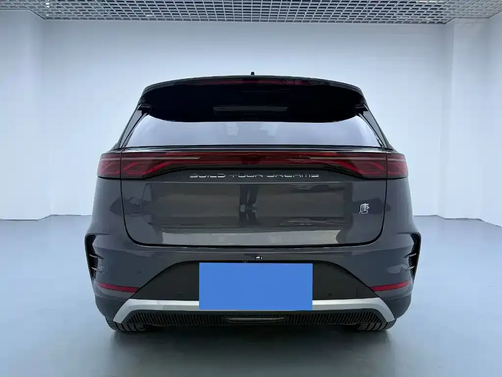 BYD Tang New Energy 2024 из CN, фото 5