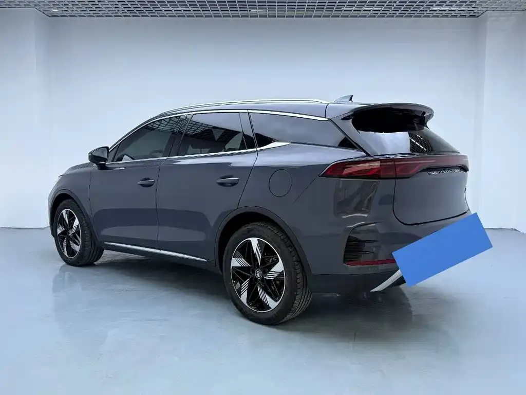 BYD Tang New Energy 2024 из CN, фото 6