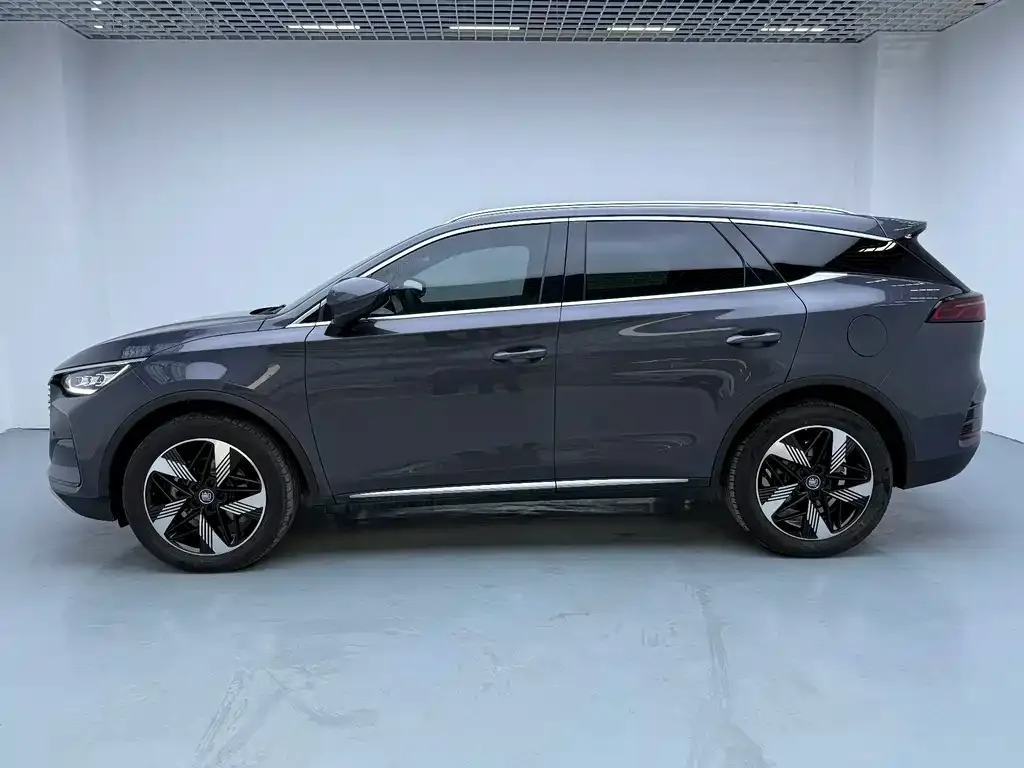 BYD Tang New Energy 2024 из CN, фото 8