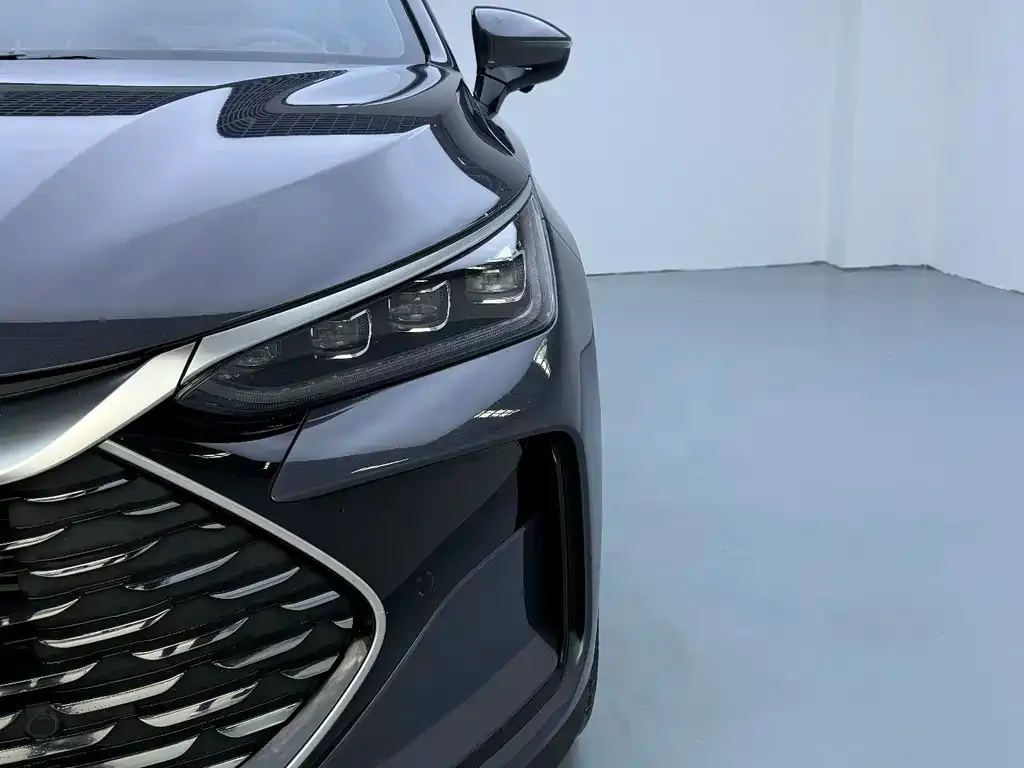 BYD Tang New Energy 2024 из CN, фото 9