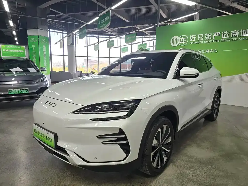 BYD PLUS New Energy 2025 из CN, фото 1