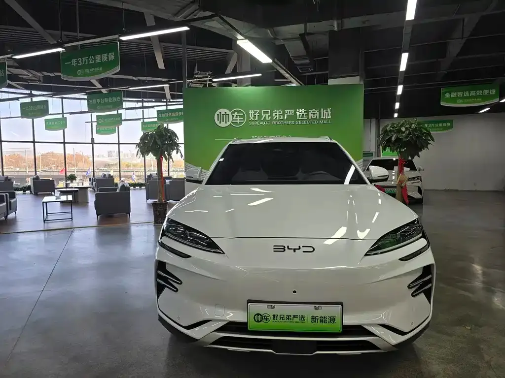 BYD PLUS New Energy 2025 из CN, фото 2