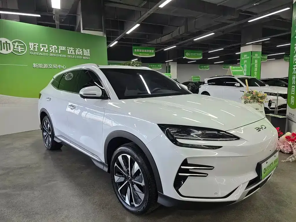 BYD PLUS New Energy 2025 из CN, фото 3