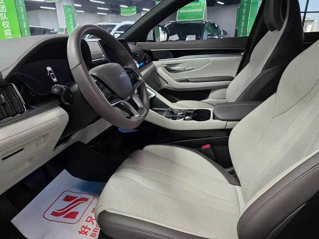 BYD PLUS New Energy 2025 из CN, фото 5