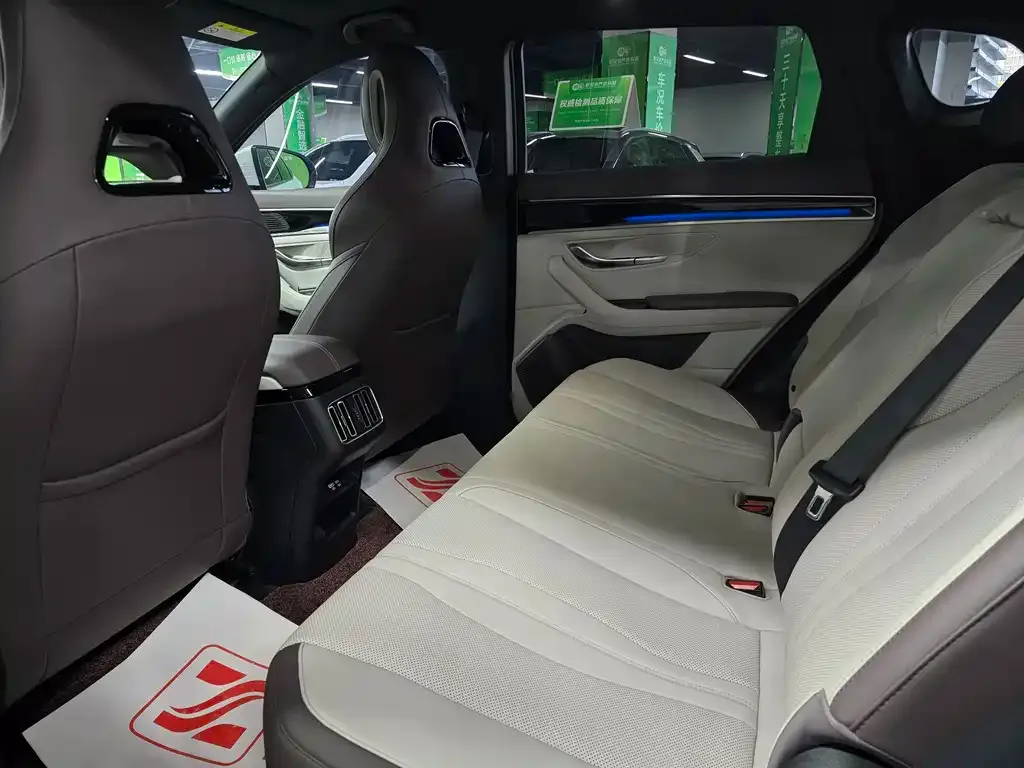 BYD PLUS New Energy 2025 из CN, фото 7