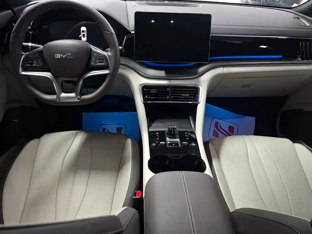 BYD PLUS New Energy 2025 из CN, фото 9