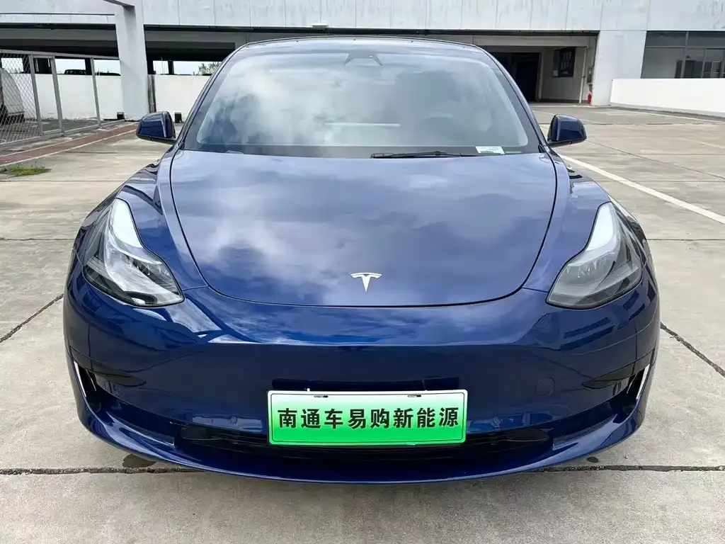 Tesla Model 3 2021 из CN, фото 2