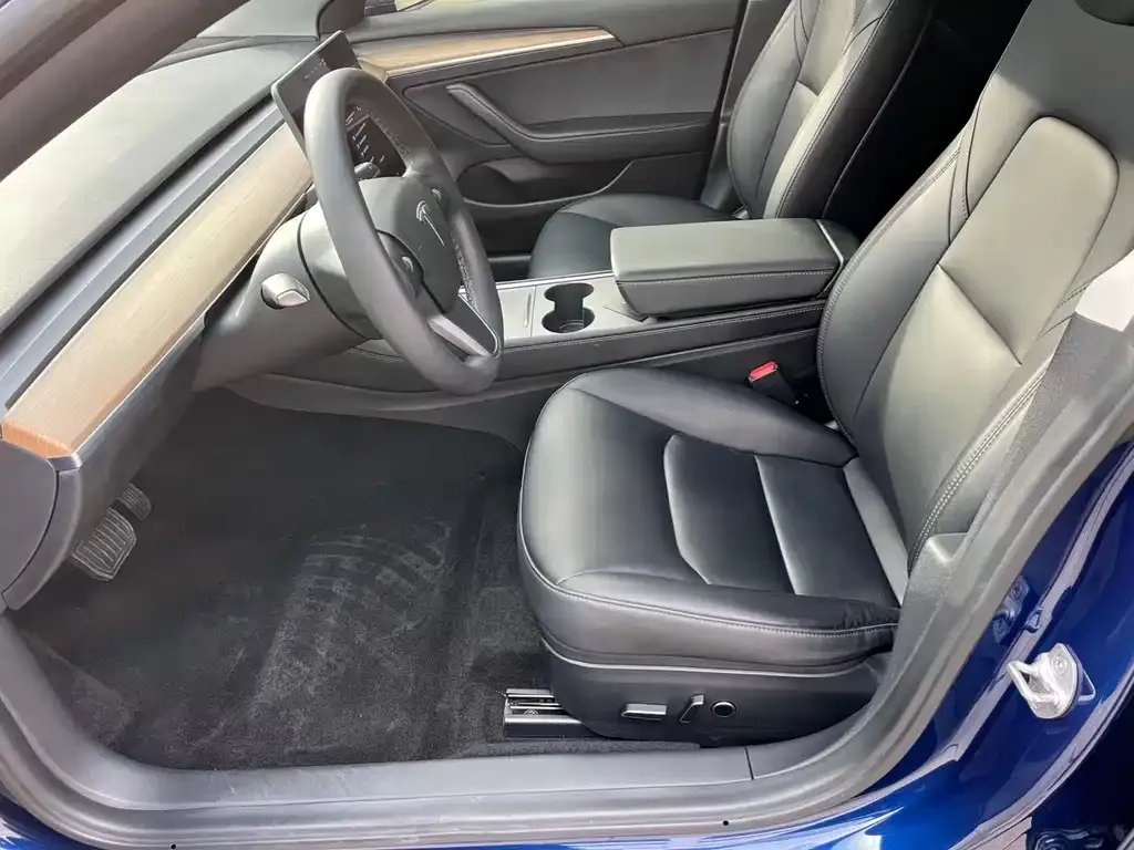 Tesla Model 3 2021 из CN, фото 4