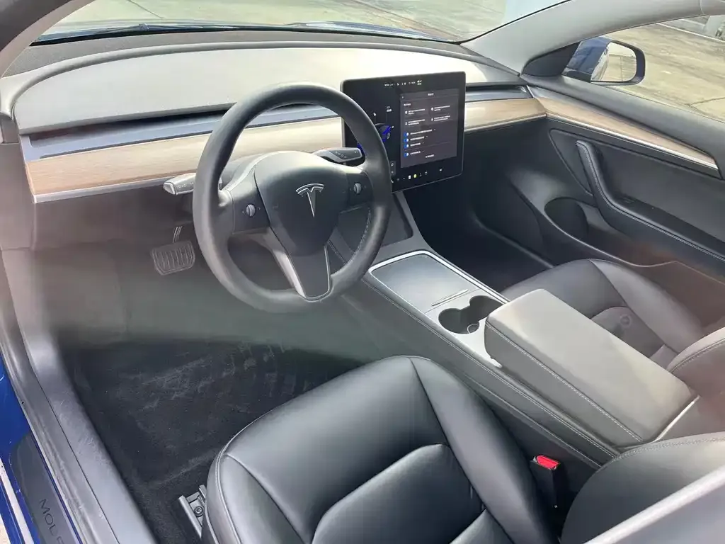 Tesla Model 3 2021 из CN, фото 5