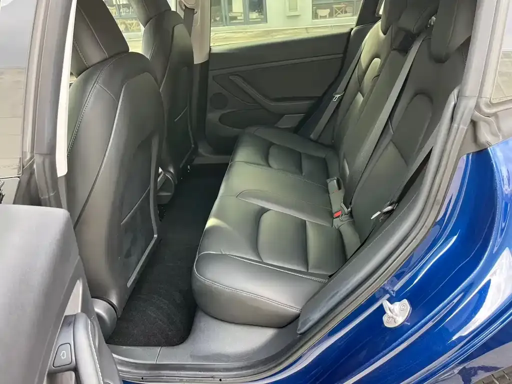 Tesla Model 3 2021 из CN, фото 7