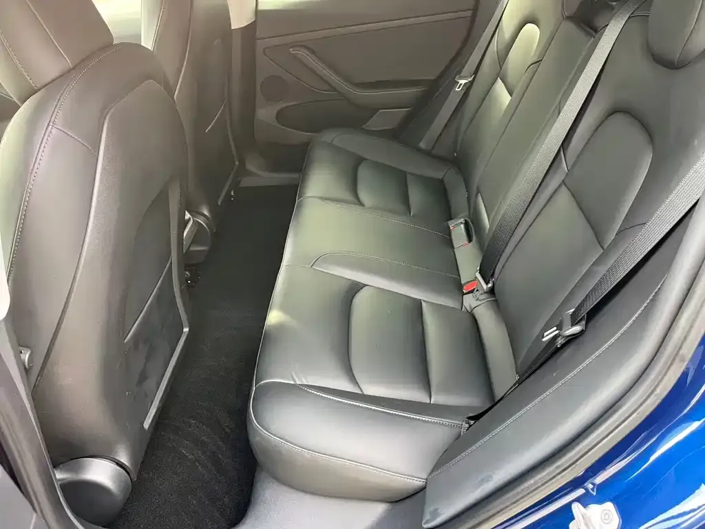 Tesla Model 3 2021 из CN, фото 8