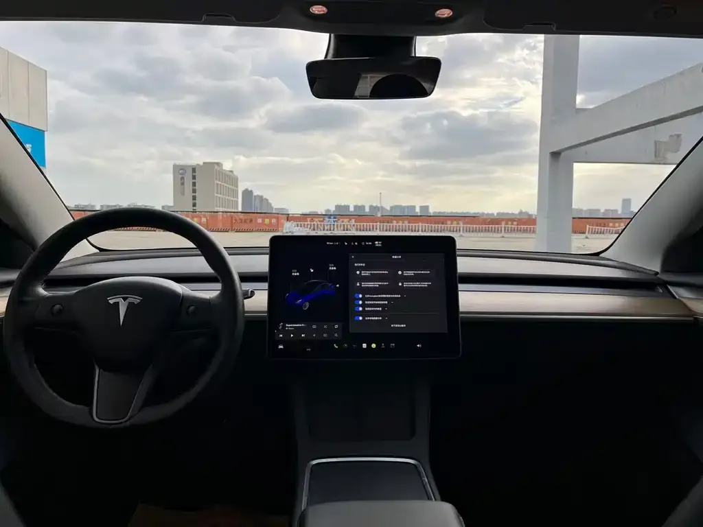 Tesla Model 3 2021 из CN, фото 9