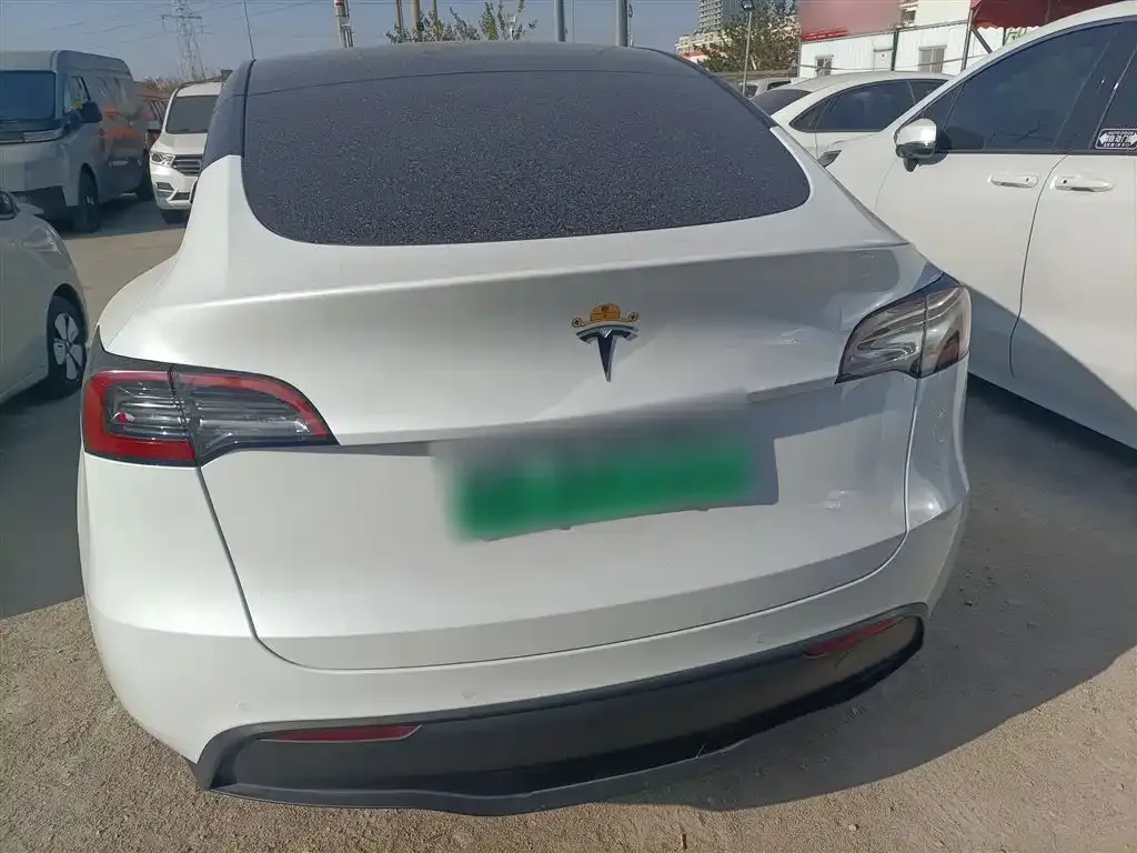 Tesla Model Y 2023 из CN, фото 6