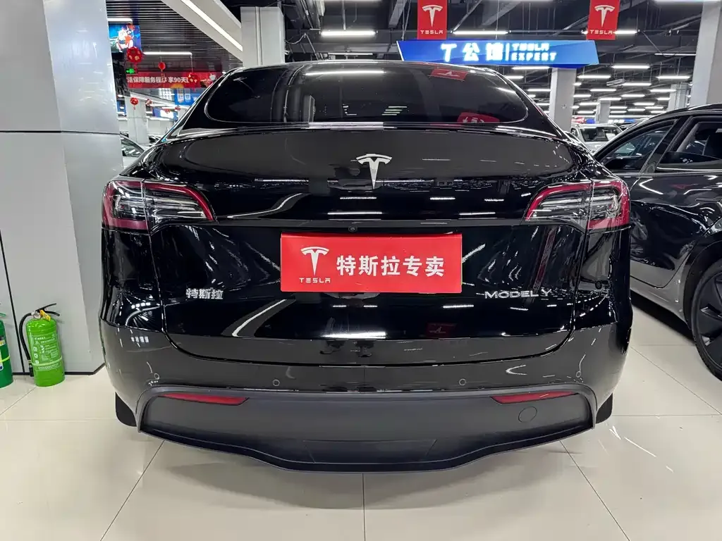 Tesla Model Y — фото 10