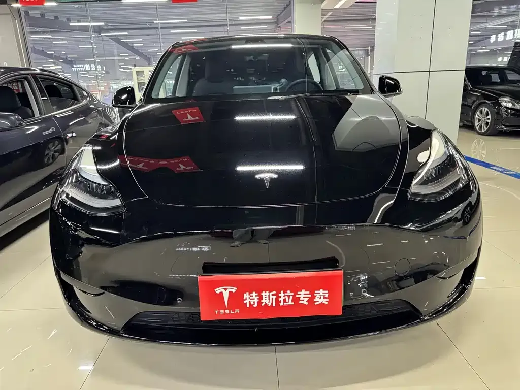 Tesla Model Y — фото 2